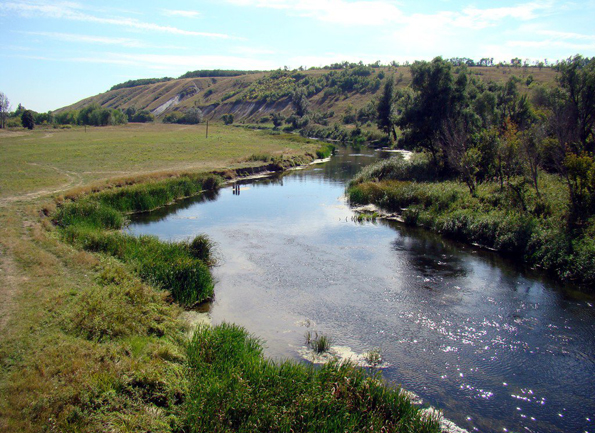 Image -- The Aidar River in northern Luhansk oblast.