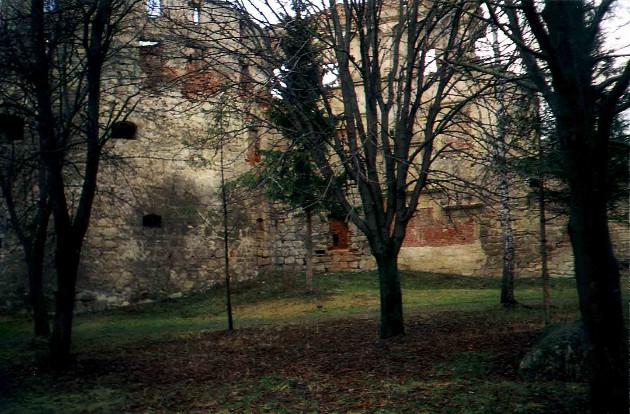 Image -- Berezhany castle and the surrounding park.