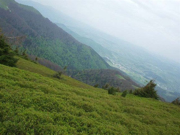 Image -- Boiko region landscape.