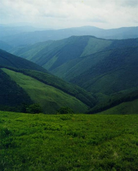 Image -- Southern part of the Borzhava mountain group in the Polonynian Beskyd.