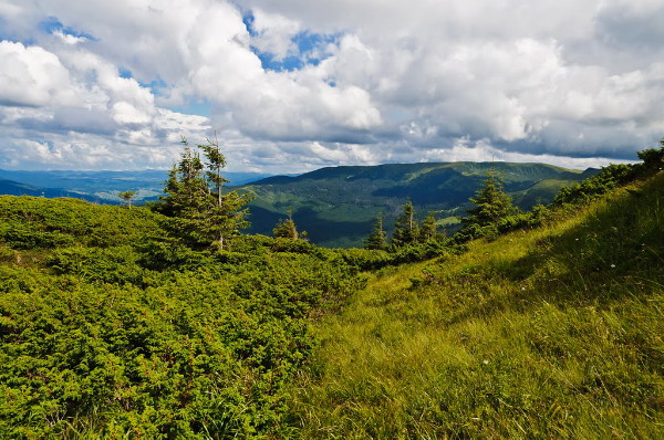 Image -- A panorama of the Bratkivska mountain range.