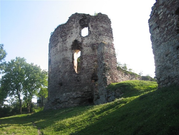 Image -- Ruins of the Potocki castle in Buchach.