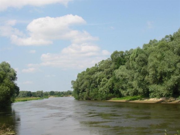Image -- The Buh River in Lviv oblast.