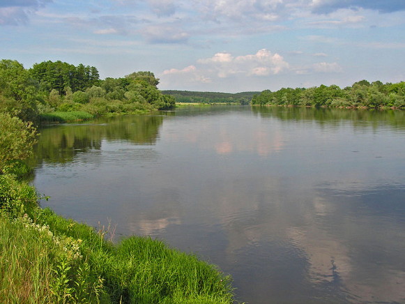 Image -- The Buh River near Dorohychyn.