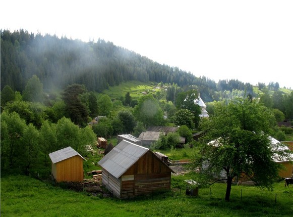 Image -- A landscape in Bukovyna.