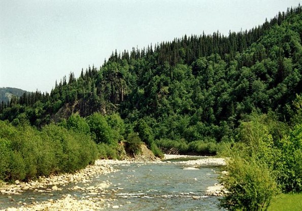 Image -- The Bystrytsia Nadvirianska River.