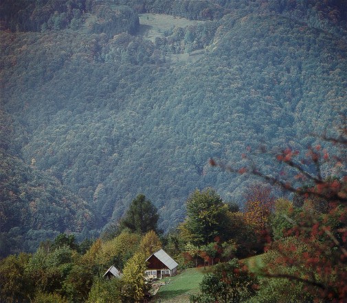 Image -- Carpathian Mountains in Bukovyna (Chernivtsi oblast).