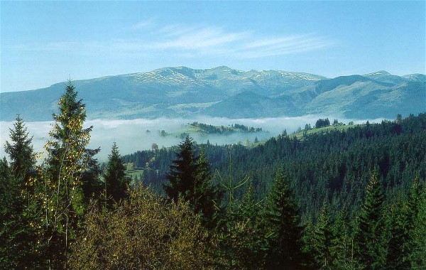 Image -- Panorama of the Carpathian Mountains in Transcarpathia oblast.