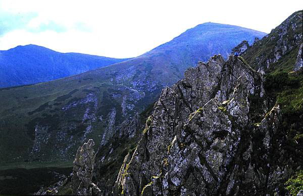 Image -- A Carpathian National Nature Park landscape.