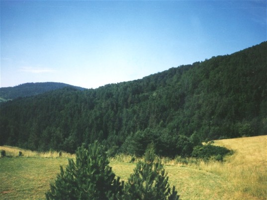 Image -- Carpathian foothills in Lviv oblast.