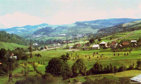 Image -- Carpathian foothills in Transcarpathia oblast.