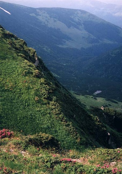 Image -- Dzebroni Peak in the Chornohora (Carpathians).