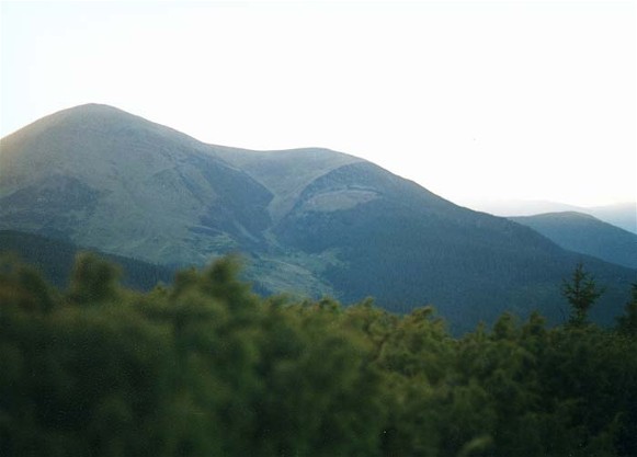 Image -- Chornohora: view of Mount Petros in the summer.