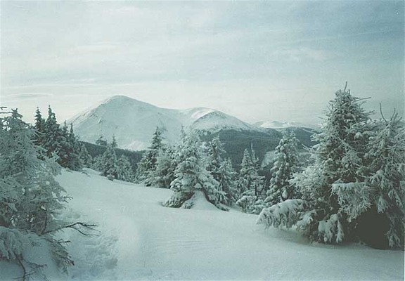 Image -- Chornohora: view of Mount Petros in the winter.