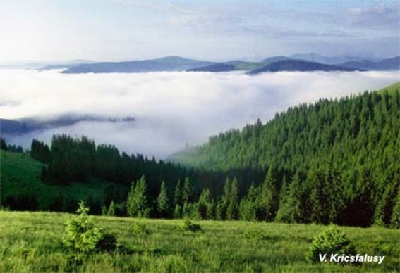 Image -- Chyvchyn Mountains landscape.