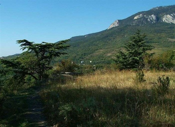 Image -- The Crimean Mountains landscape near Hurzuf.