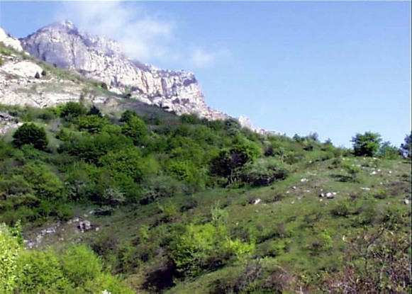 Image -- Demerdzhi Yaila in the Crimean Mountains.