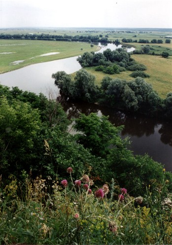 Image -- The Desna River flowing through Chernihiv oblast.