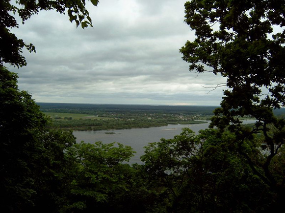 Image -- The Kaniv State Nature Reserve.