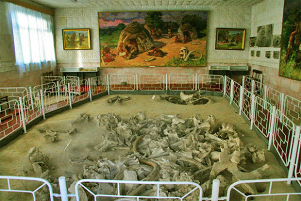 Image -- The Dobranichivka archeological site (museum exhibit).