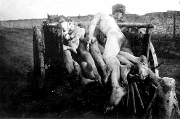 Image -- Transporting corpses of starved peasants in Southern Ukraine during the Famine of 1921-22.
