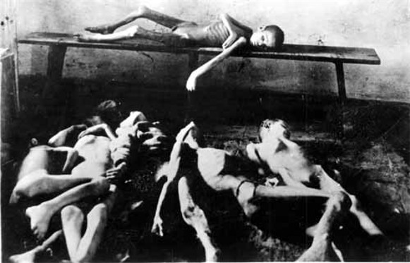Image -- Corpses of starved children during the Famine of 1921-22.
