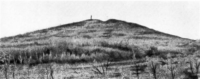 Image -- A view of the Haimanova Mohyla kurhan (prior to excavations).