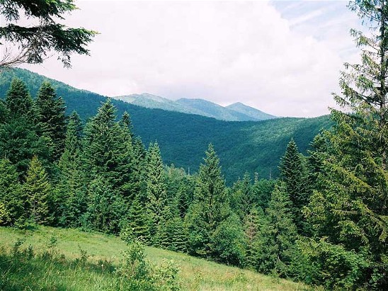 Image -- High Beskyd landscape near Mount Parashka.
