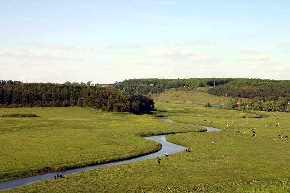 Image -- The Hnizna River near Bavoriv, Ternopil oblast.