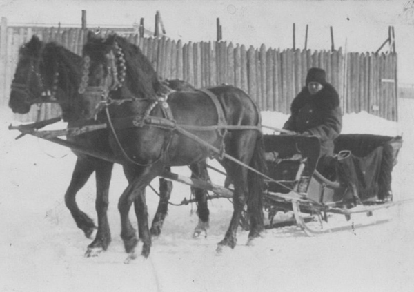 Image -- A horse-drawn sledge at Christmas time