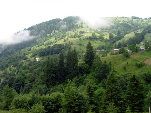 Image -- A Hutsul region landscape near Kryvorivnia.