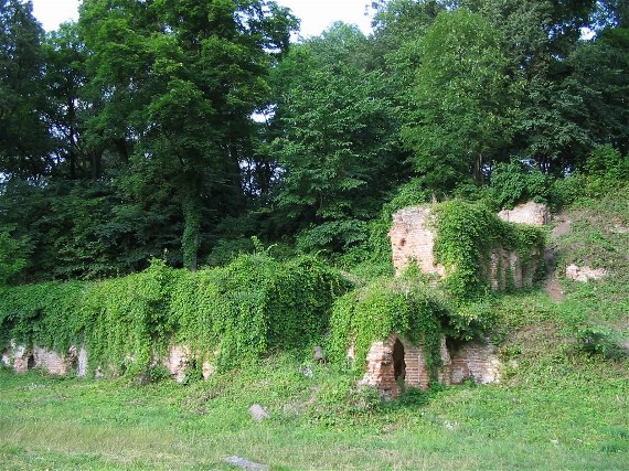 Image -- Romantic ruins in the Kachanivka park.