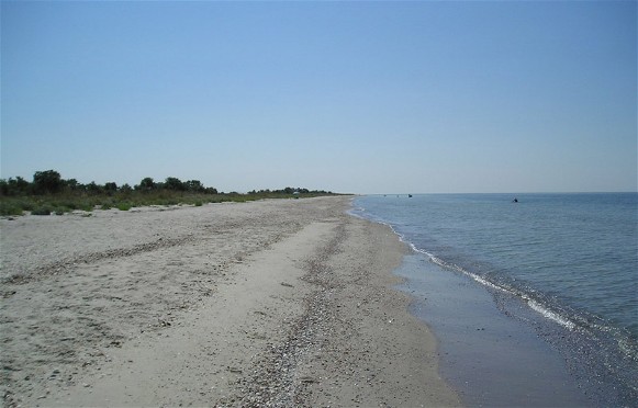 Image -- The shore of the Kinburn Spit.