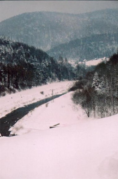 Image -- Low Beskyd winter landscape in the Lemko region (near the village of Losie).