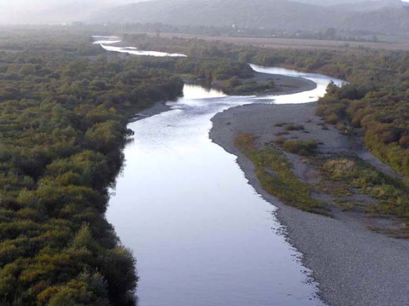 Image -- The Limnytsia River flowing through the Halych National Nature Park.