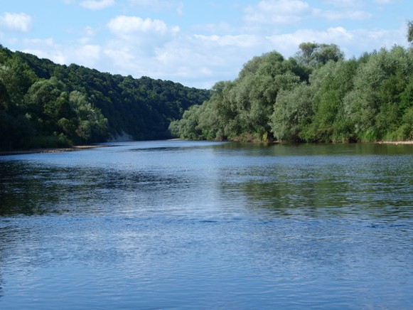 Image -- The Limnytsia River