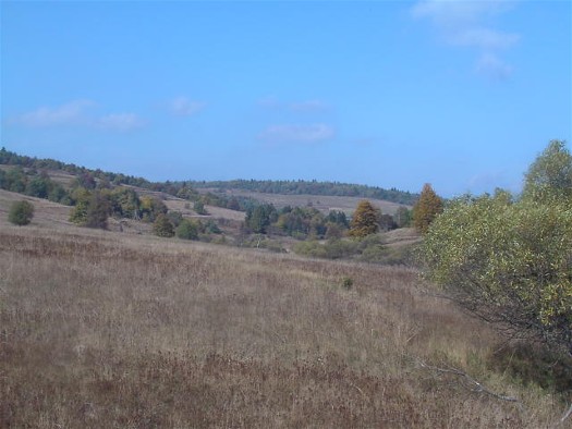 Image -- Low Beskyd landscape in the Radocyna River valley.