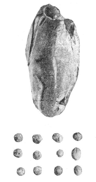 Image -- A Paleolithic artefact excavated in Luka-Vrublivetska.