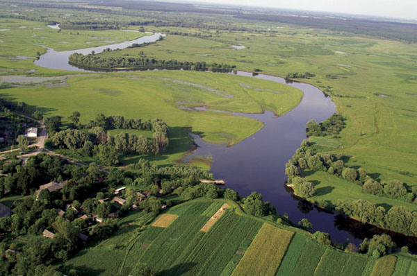Image -- The Desna River near Mizyn, Chernihiv oblast.