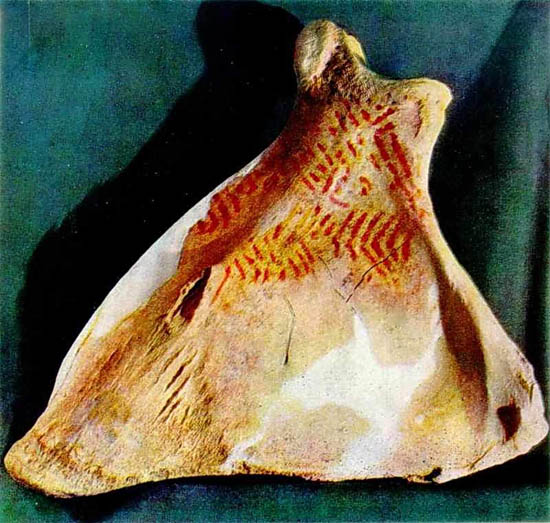 Image -- Mizyn archeological site: ornamented mammoth bone (used as musical instrument).