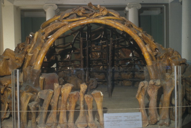 Image -- A Paleolithic mammoth-bone dwelling (16,000 to 12,000 BC) in Mezhyrich, Kyiv oblast.