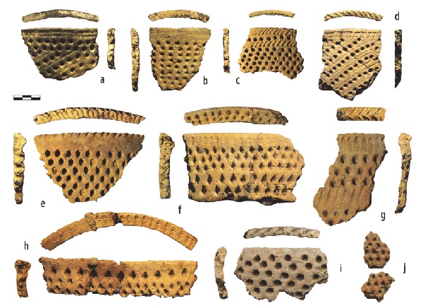 Image -- Pottery shards of the Pit-Comb Ware culture