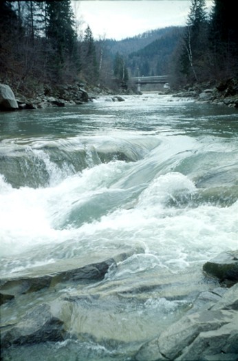 Image -- Rapids on the Prut River near Yaremche.