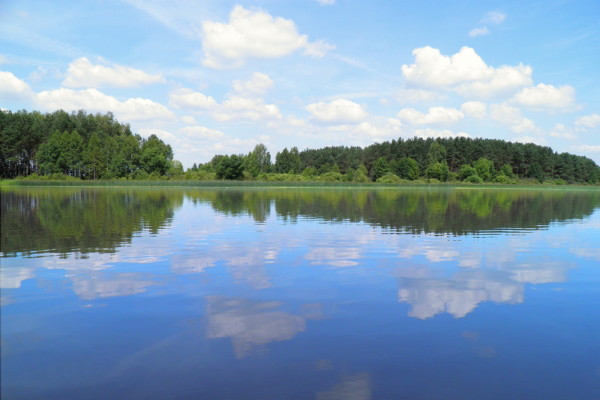 Image -- A view of the Prypiat River.