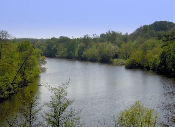 Image -- The Ros River near Bila Tserkva.