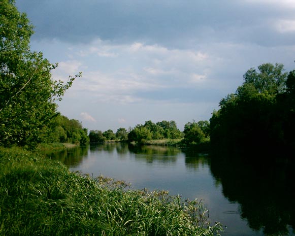 Image -- The Ros River near Sukholisy.