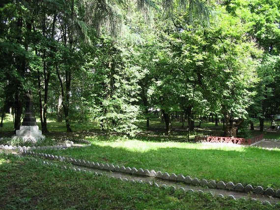 Image -- Taras Shevchenko's lime tree in the Lyzohub family park in Sedniv.