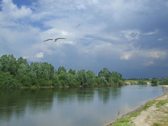 Image -- The Seim River near Bakhmach.