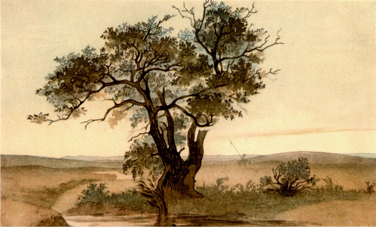 Image -- Taras Shevchenko: Jagisagach (1848); watercolor.