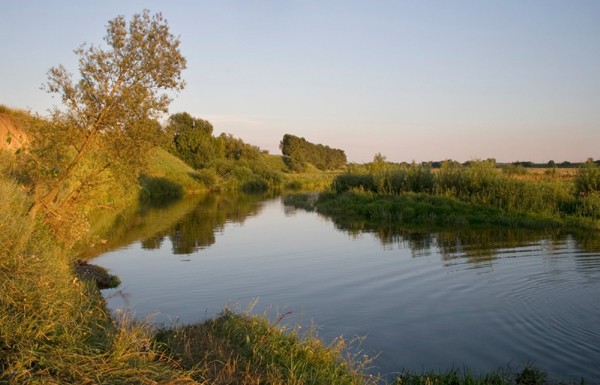 Image -- The Sluch River near Liubar.